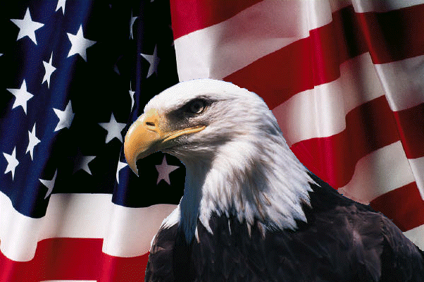american flag eagle pictures. eagle and American flag